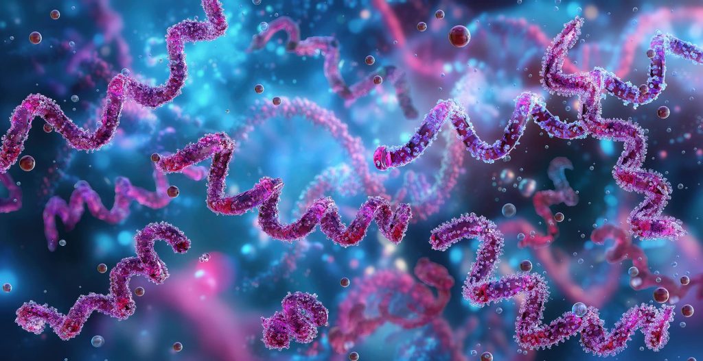 bakterielle DNA